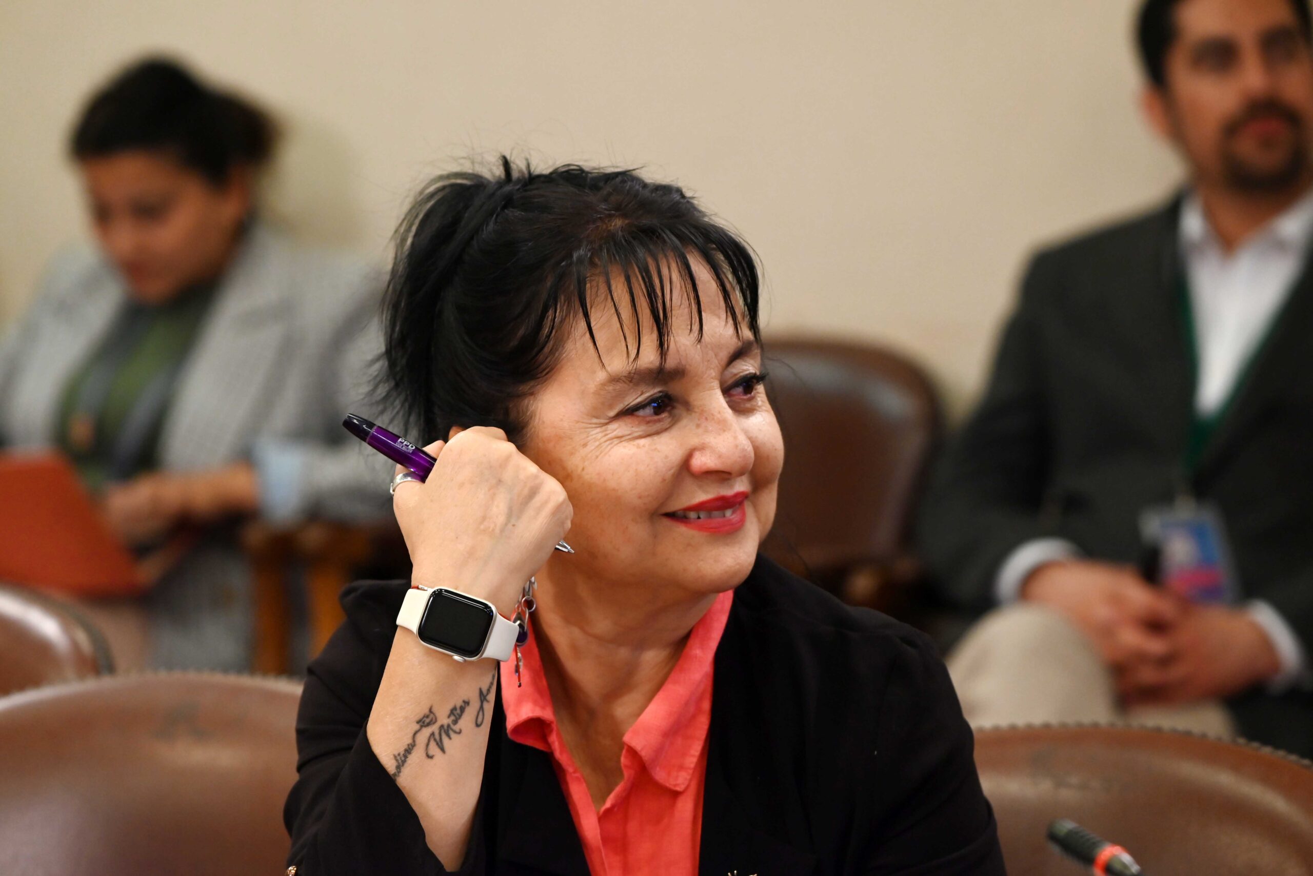 Iniciativa ingresada por la diputada Carolina Marzán modifica la ley de tenencia responsable y el Código Penal creando un Registro Nacional de personas condenadas por maltrato animal