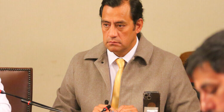 “Era completamente inviable”: Diputado Teao valora retiro de apoyo a candidatura de Bachelet a la ONU