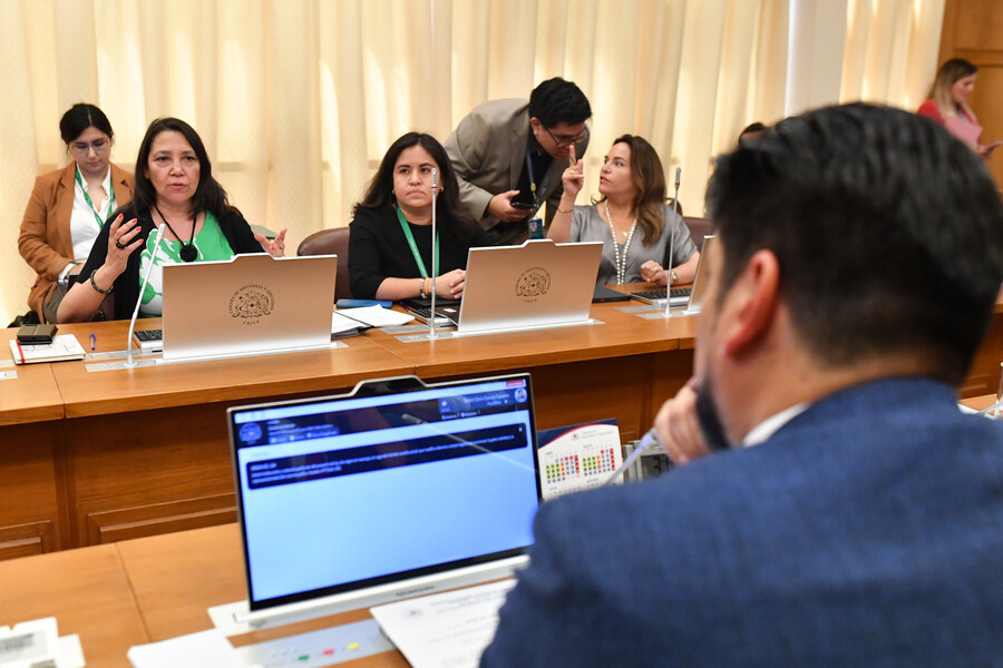 Sistema político: Comisión de Gobierno despacha reforma con indicación para permitir fusión de partidos en disolución