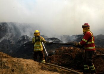 incendio forestal Quilpué Los Molles