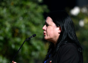 Trinidad Steinert Seguridad