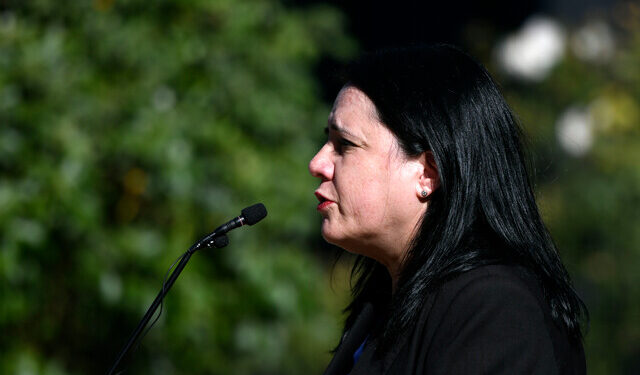 Trinidad Steinert Seguridad