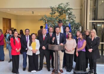 PDG propone impuesto específico a minería y aerolíneas para paliar alza de los combustibles