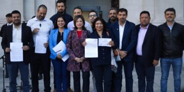 alcaldes gobierno carta combustibles