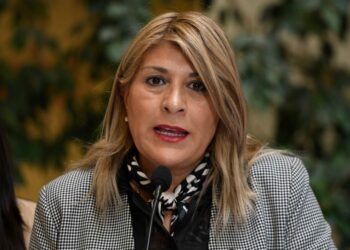 “No podemos seguir alimentando un clima de tensión permanente”: Diputada Parisi (PDG) tras dichos de ministra Sedini por agresión a Lincolao