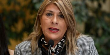 “No podemos seguir alimentando un clima de tensión permanente”: Diputada Parisi (PDG) tras dichos de ministra Sedini por agresión a Lincolao