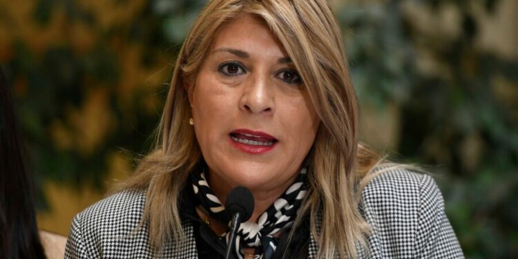 “No podemos seguir alimentando un clima de tensión permanente”: Diputada Parisi (PDG) tras dichos de ministra Sedini por agresión a Lincolao