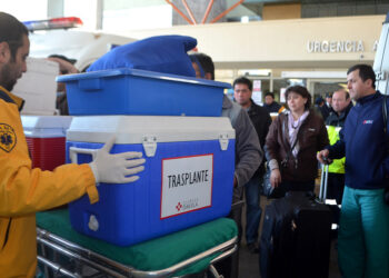 Solicita incorporar a donantes no emparentados en ley de trasplantes tras caso de Thiare Alvarez