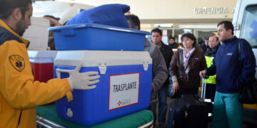 Solicita incorporar a donantes no emparentados en ley de trasplantes tras caso de Thiare Alvarez