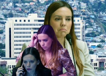 Camila Flores, investigación, Fiscalía