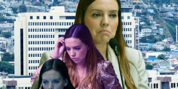 Camila Flores, investigación, Fiscalía