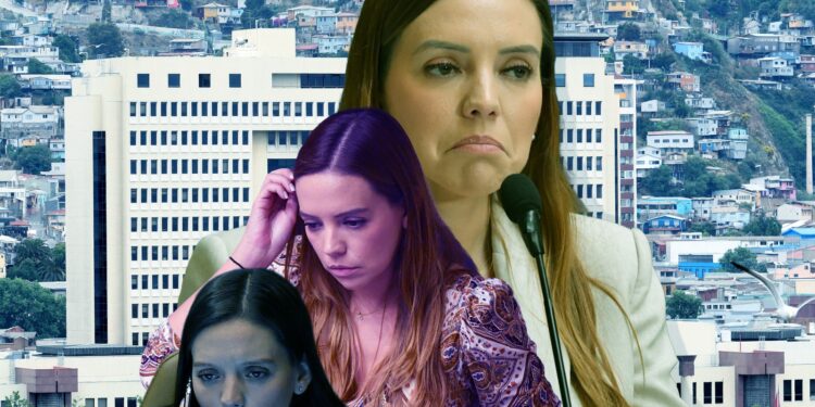 Camila Flores, investigación, Fiscalía