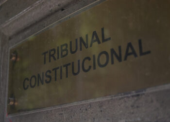 Tribunal Constitucional Escuelas Protegidas