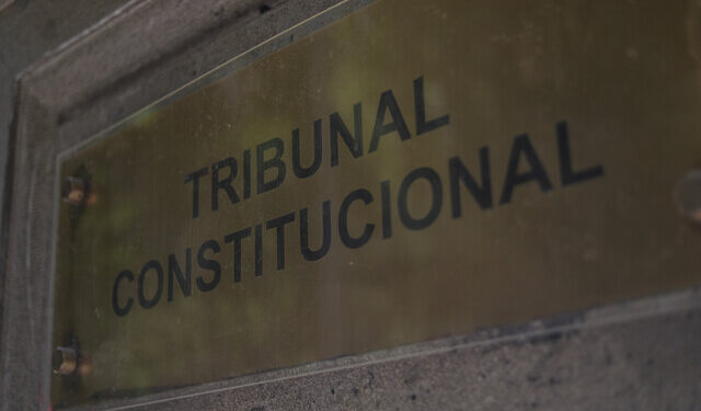 Tribunal Constitucional Escuelas Protegidas