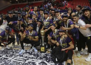 Leones de Quilpué campeones