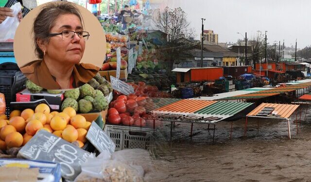 ferias libres lluvias