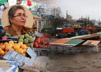 señora feria