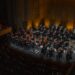 FOJI orquesta Viña del Mar